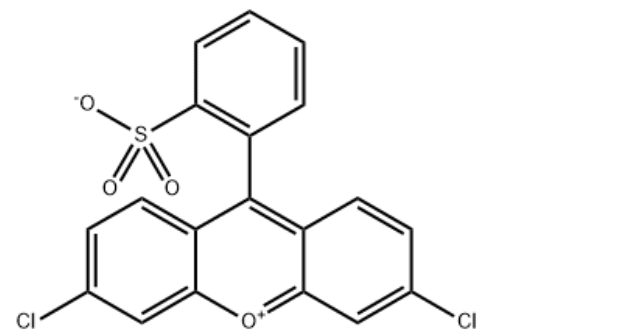 structure of 3,6-dichloro-9-(2-sulphonatophenyl)xanthylium CAS 56046-85-6